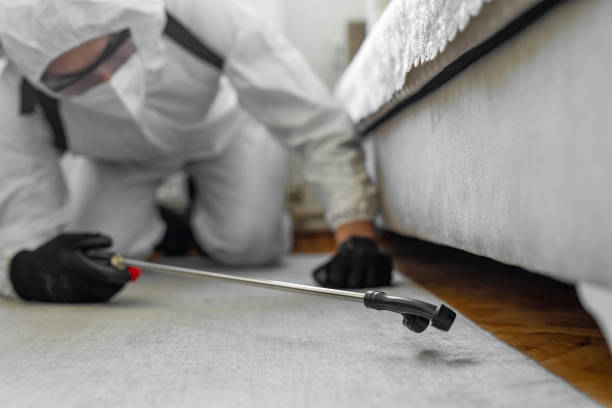 Professional Termite Control technician working in Abbeville, LA