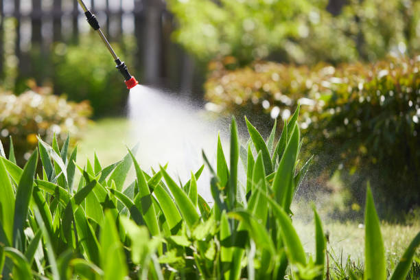 24/7 Emergency Termite Control experts in Abbeville, LA
