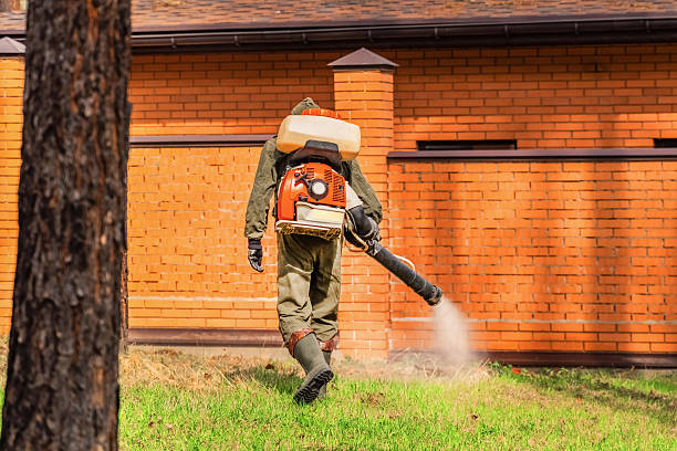 Trusted Termite Control service in Abbeville, LA - Nex Pest Control